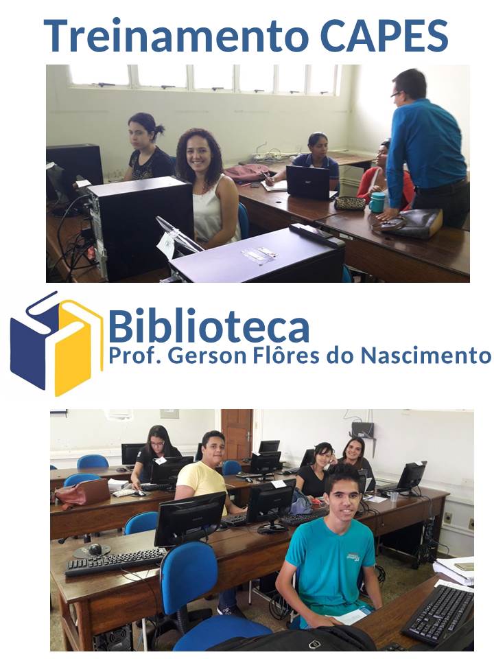 BIBLIOTECA_treinamento_CApES